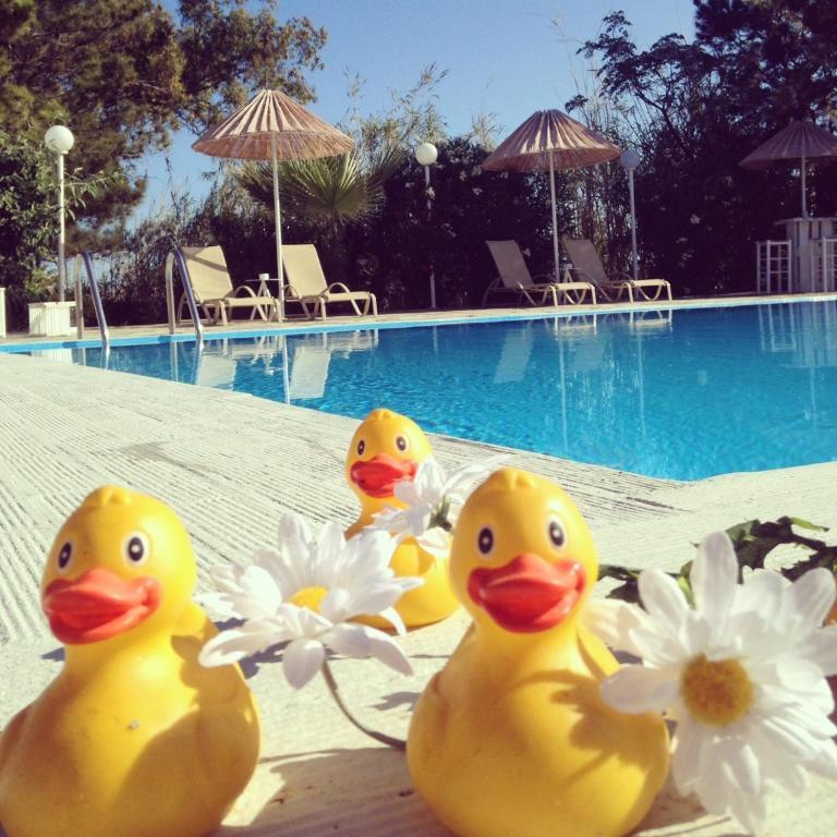 Home Hotel (Adults Only) Limenas Chersonisou Zimmer foto