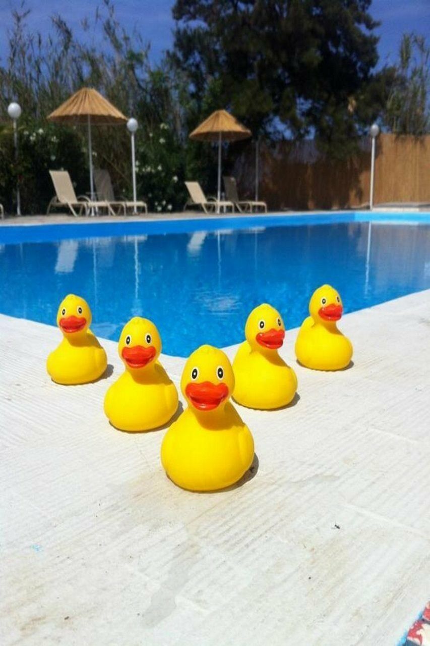 Home Hotel (Adults Only) Limenas Chersonisou Exterior foto